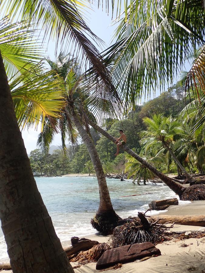 Hospedaje Pirata Express Capurganá المظهر الخارجي الصورة